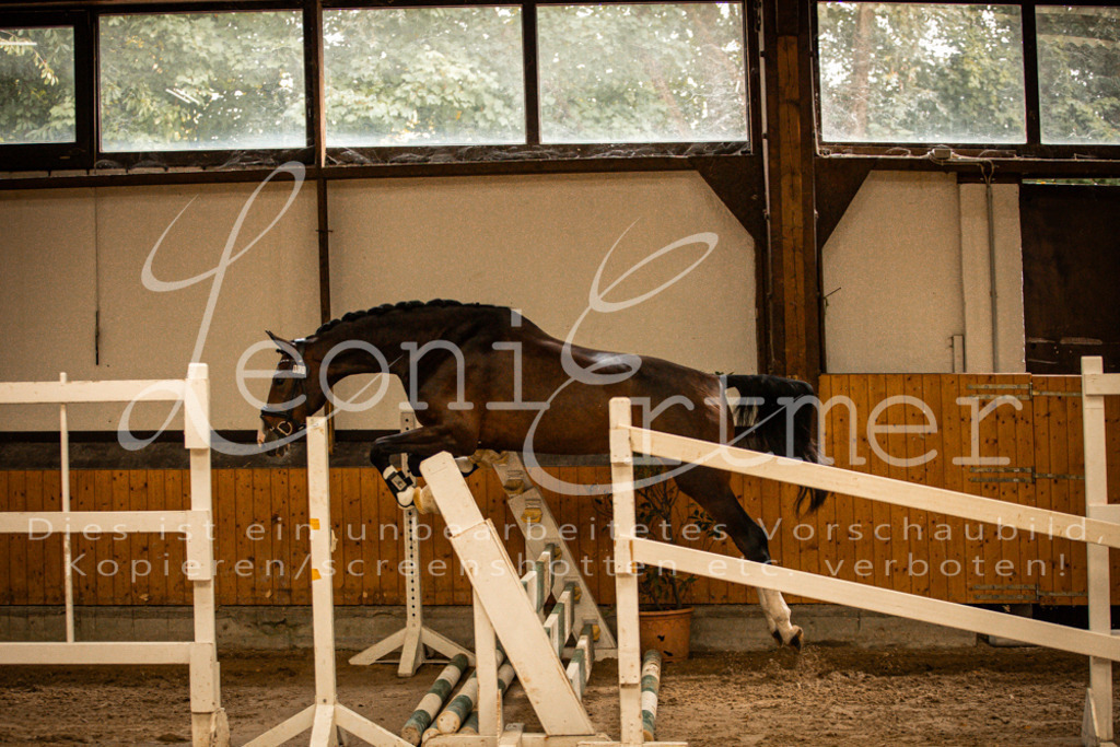 2FS_L00102 | Leoni Ertmer Photography - Realisiert mit Pictrs.com