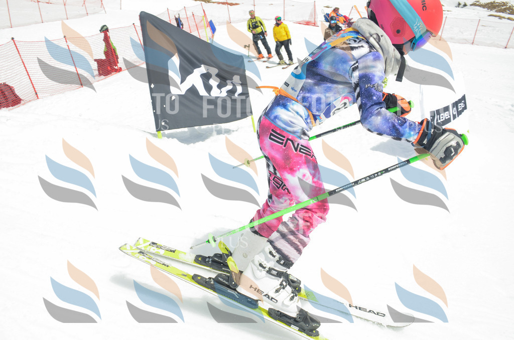 _ELE7920 | holidayphoto