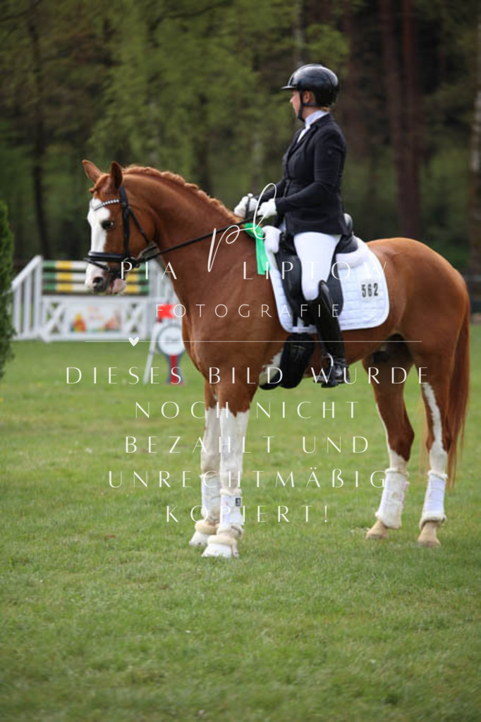 IMGT3455 | pl-fotografie