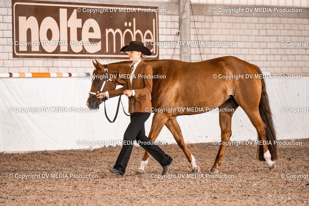 ZH200275 | dv-media-shop - Realisiert mit Pictrs.com