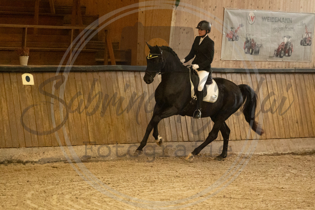 994A3358 | sabrinanicolaifotografie - Realisiert mit Pictrs.com