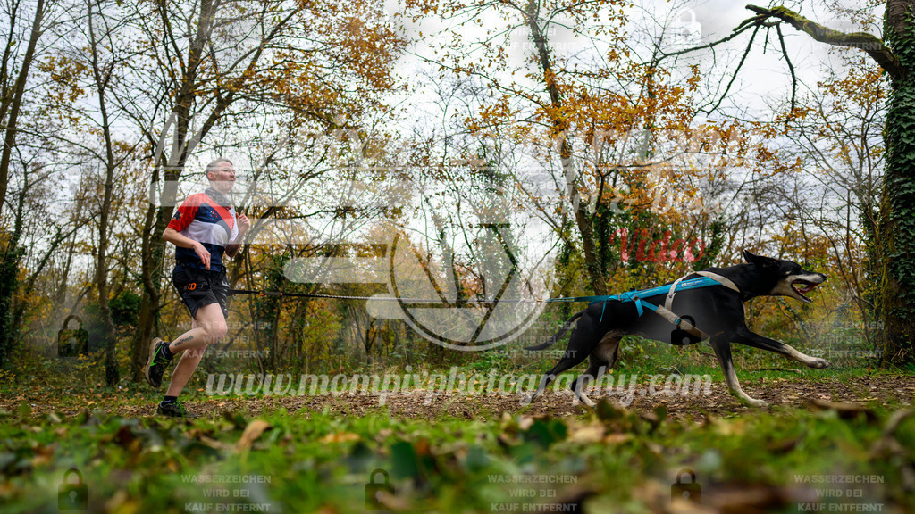 MompixPhotography_Bischwiller24_DI_CoursedeRelais-110 | PayLife