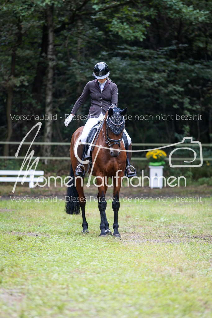 HB-A-Dressur-005 | MomenTaufnahmen Pferdesportfotos