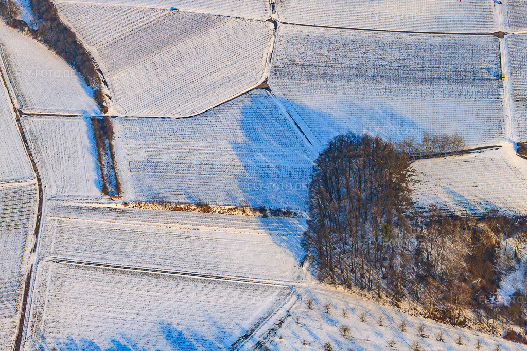 Luftbild: Wingert im Winter unter Schnee im Ortsteil Ingenheim in Billigheim-Ingenheim im Bundesland Rheinland-Pfalz in Deutschland. Foto: IMG_24450.jpg vom 16.02.2010 durch Werner Riehm/FLY-FOTO.de