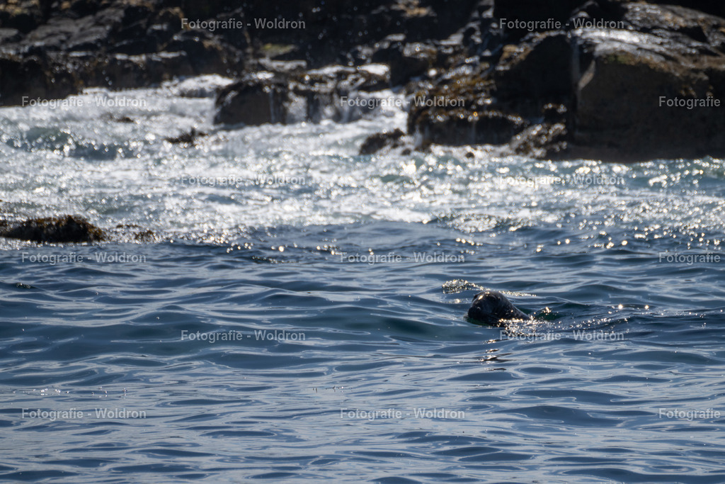 20230815 Isle of Sky - St.Andrews - Dundee-31 | Fotografie Woldron