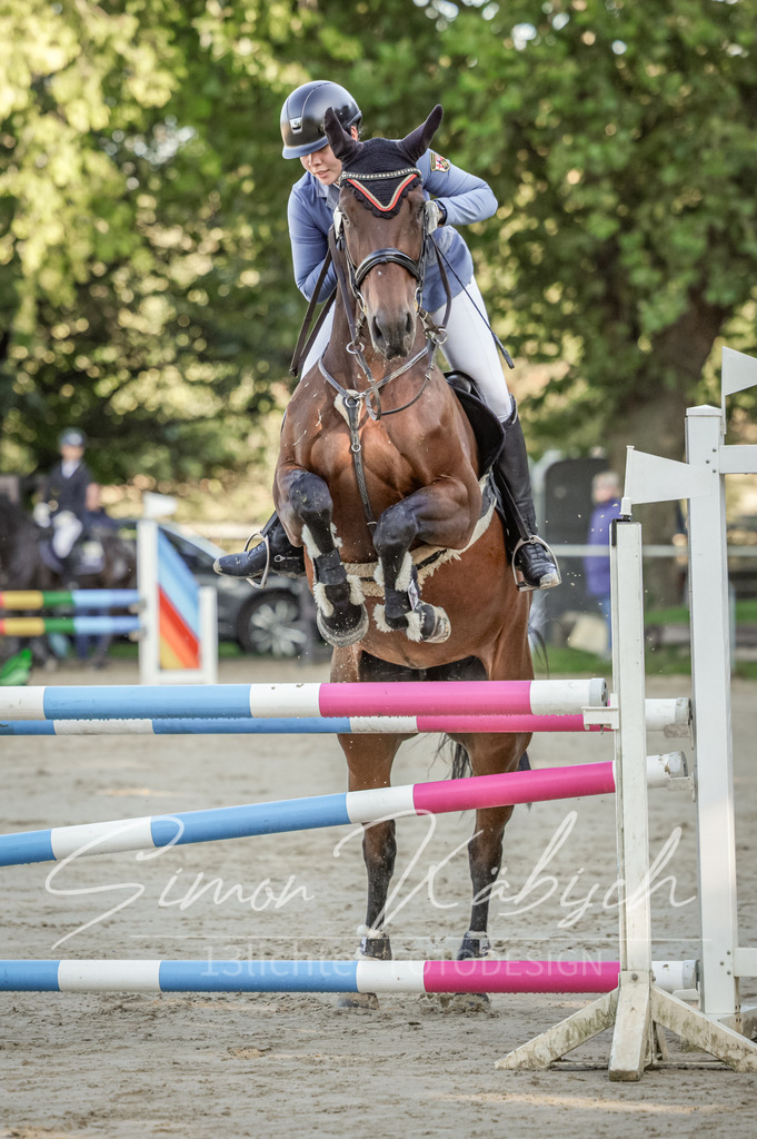 20250906-_3LI2979 | Tierfotografie Pferde, Hunde, Katzen, Haustiere.
Turnierfotografie Reitturniere, Reiten, Springreiten, Dressur in Hanau, dem Main-Kinzig-Kreis und dem Rhein-Main- Gebiet um Frankfurt
