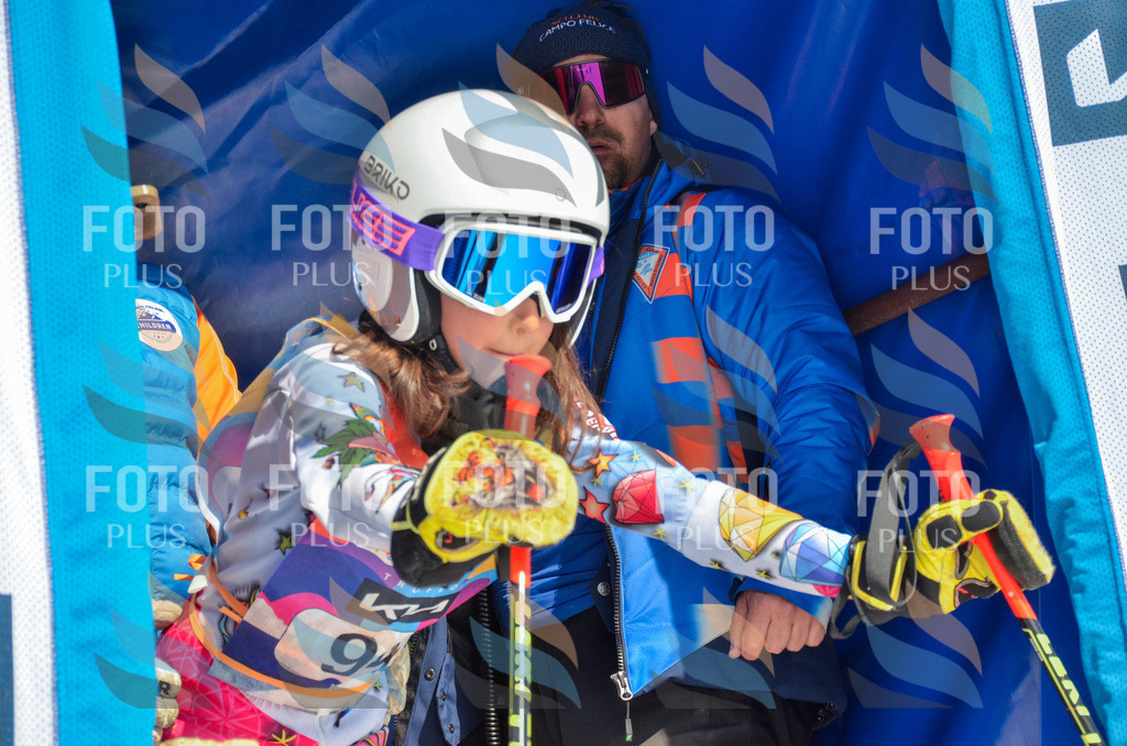 _ELE5708 | holidayphoto