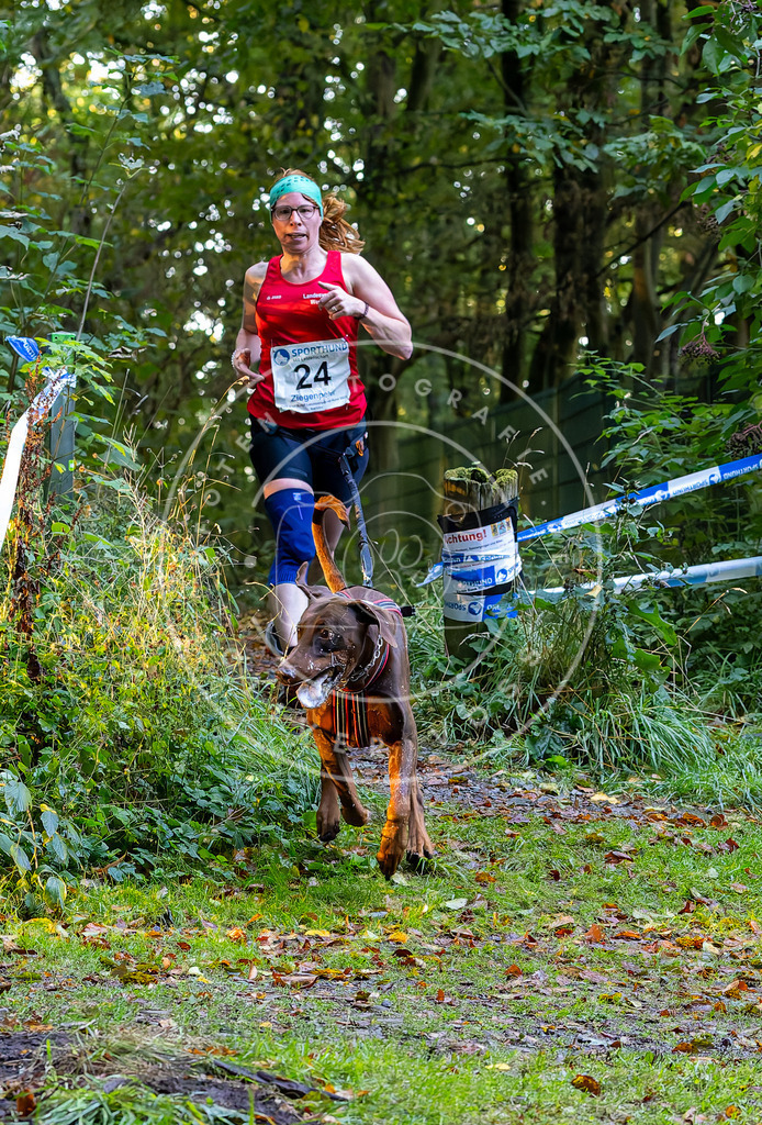 Pfotenfotografie_DV3A6527 | Hundefotografie, Tierfotograf, Pfotenfotografie, Fotoshooting Hund, Hunde Portrait, Hundesport, Hundeportraits, Heideshooting, Hunde, Sportfotograf, Hundefotograf, Turnierhundsport, THS,  - Realisiert mit Pictrs.com