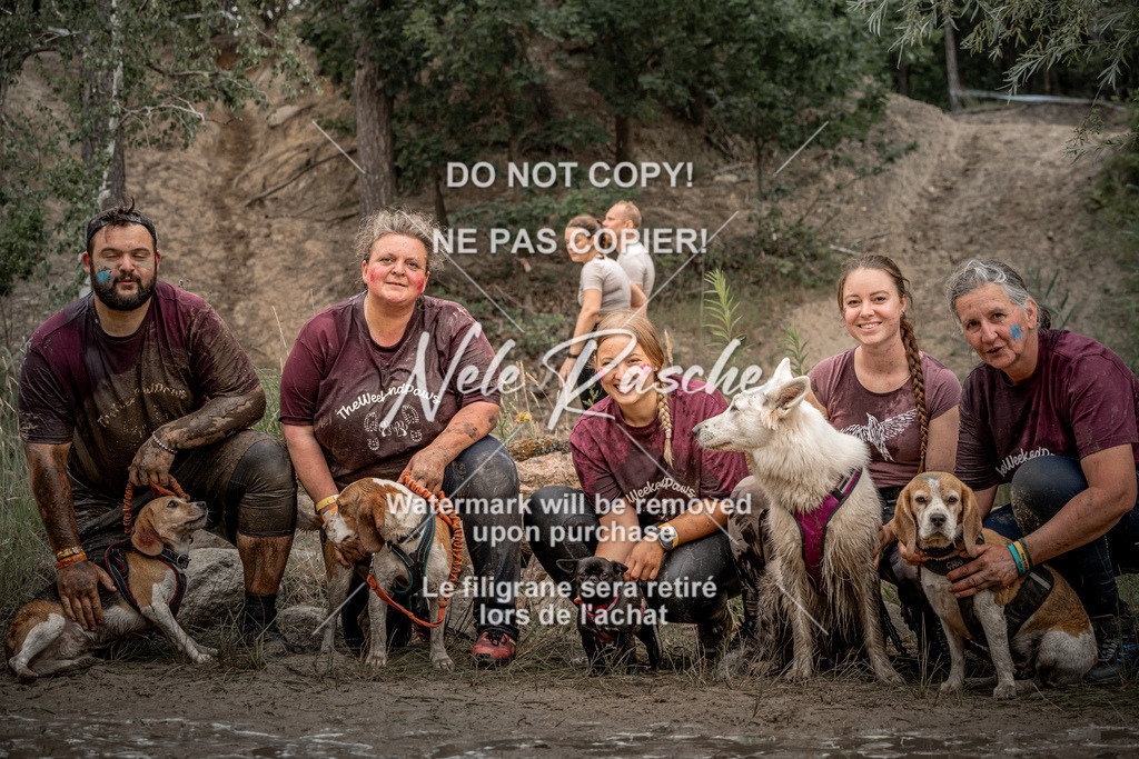 nelerasche_sa1500-1530_163 | nelerasche