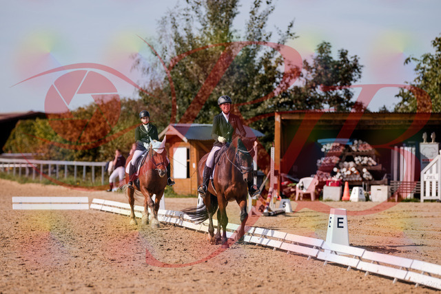 2026_10_03_Siefer-Hof_130245_Z81_57677908 | Professionelle Reitsport-, Turnier- und Eventfotografie von Robert Broda. Galerien mit ausgewählten und bearbeiteten Bildern direkt online ansehen und bestellen.