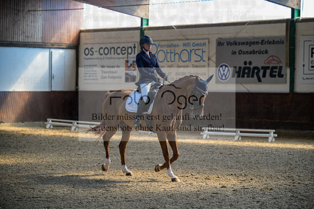 Reitturnier Voxtrup | Entdecke hochwertige Reitturnierfotos von Foto Oger. Professionell, emotional und authentisch – jetzt Lieblingsmomente im Shop bestellen.Deutschlandweite Turnierfotografie. - Realisiert mit Pictrs.com
