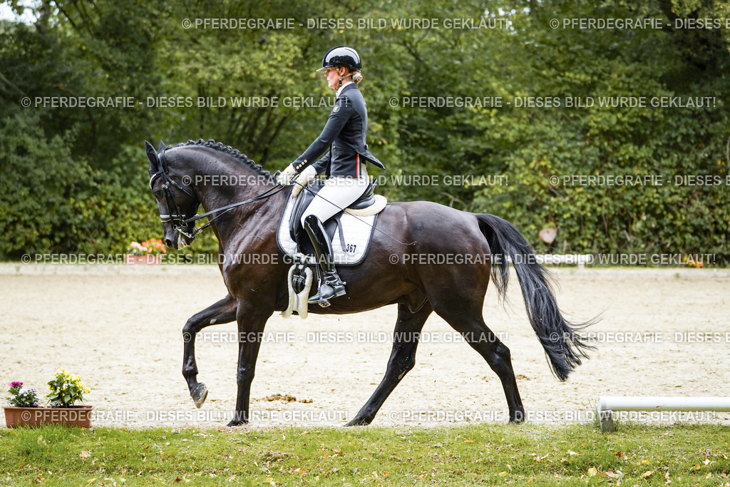 DSC01529 | Pferdegrafie