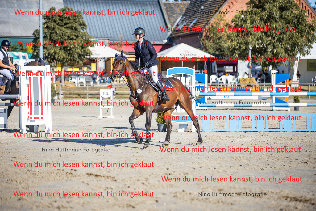 BK1A6049 | Turnierbilder Turnierfotos Nina Hüffmann Turnierfotografie Pferdefotografie Tierzeichnung Haustierzeichnung Pferdezeichnung Hundezeichnung Videograf  - Realisiert mit Pictrs.com
