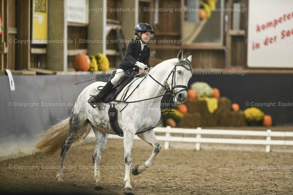 20231029_02_Reiter-WB_Schritt-Trab-Galopp_Abteilung-03_0051 | Foto: Thomas Hartig