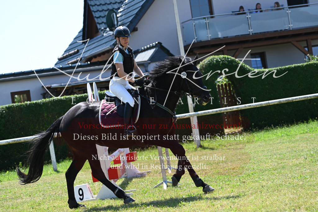 DSC_0711 | Pferde- und Turnierfotografie in Westsachsen. Pferdeportraits, Auftragszeichnungen und intuitive Kunst.