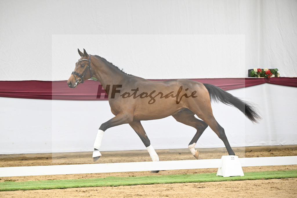 Kat-Nr. 43 Va Pensiero x Secret_Philipp Stuppert_47251509 | hf-fotografie - Realisiert mit Pictrs.com