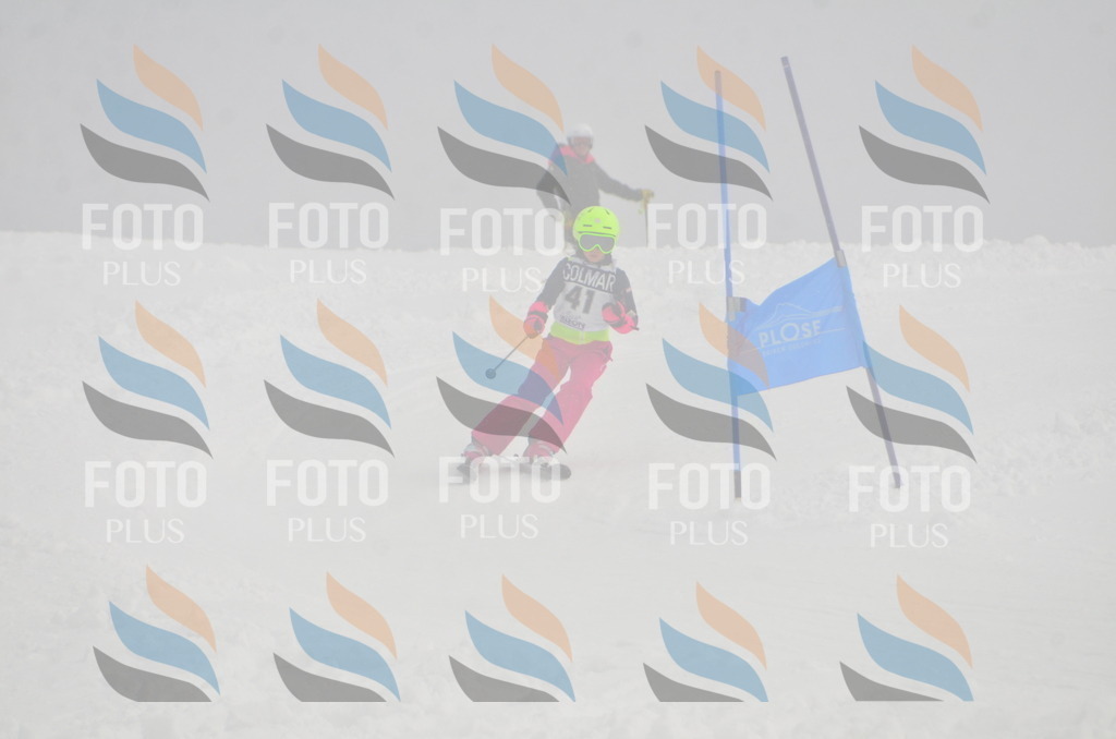 A5312 | holidayphoto