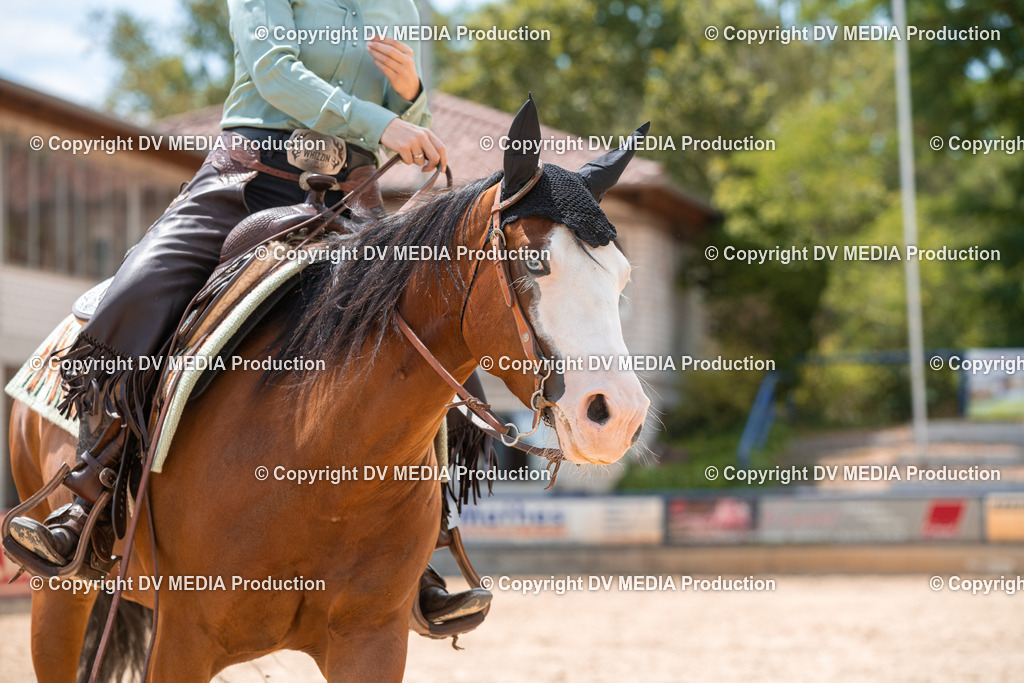 EWP_6536 | dv-media-shop - Realisiert mit Pictrs.com