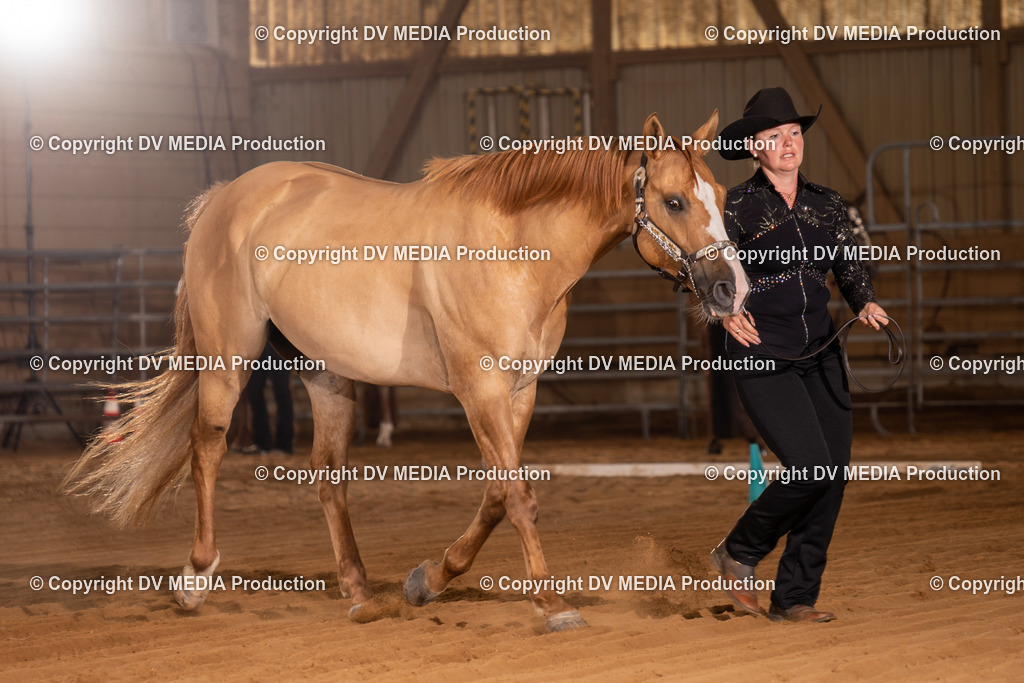 NID00003 | dv-media-shop - Realisiert mit Pictrs.com