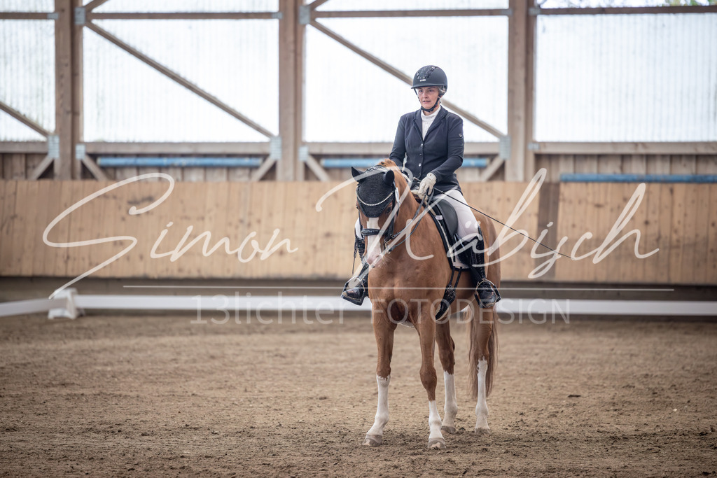 20251011-_3LI1063 | Tierfotografie Pferde, Hunde, Katzen, Haustiere.
Turnierfotografie Reitturniere, Reiten, Springreiten, Dressur in Hanau, dem Main-Kinzig-Kreis und dem Rhein-Main- Gebiet um Frankfurt