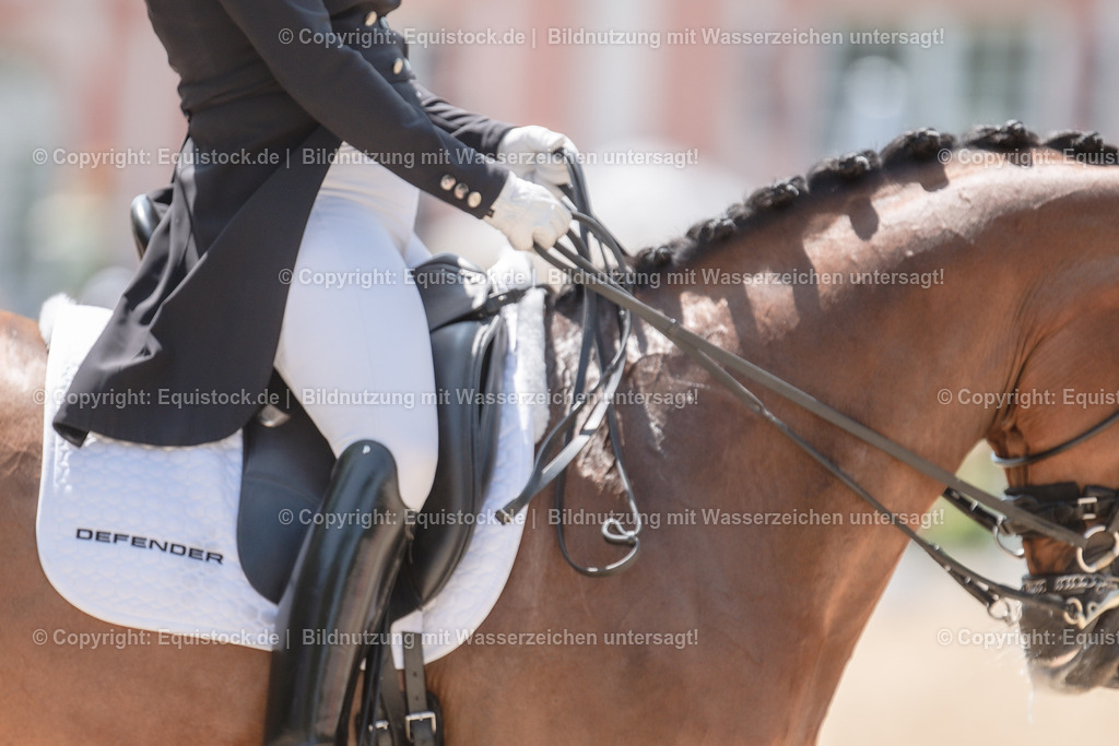 20230527_01_GP-Kür-Tour_0204 | equistock