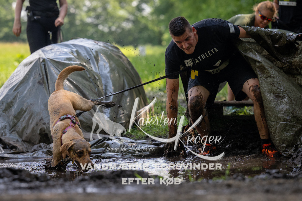 1155_ZZ90211 | kk-dogfotos