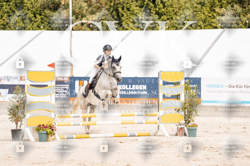 CK906798 | Turnierfotografie Pferdefotografie Trier Rheinland-Pfalz Pferdesport Reitsport Tierfotografie Sportfotografie Pferdevideo Pferdevideografie Equestrianvideography equestrianphotography  - Realisiert mit Pictrs.com