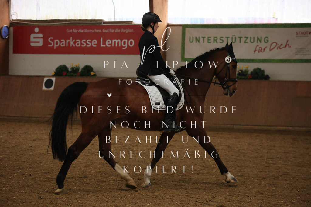 IMGT9938 | pl-fotografie