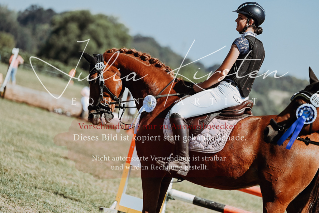DSC_0129 | Pferde- und Turnierfotografie in Westsachsen. Pferdeportraits, Auftragszeichnungen und intuitive Kunst.