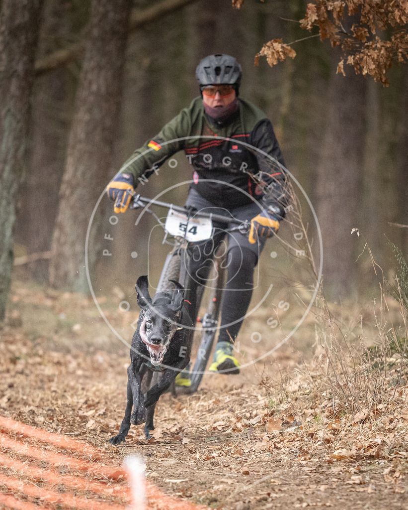 Pfotenfotografie_DV3A1469 | Hundefotografie, Tierfotograf, Pfotenfotografie, Fotoshooting Hund, Hunde Portrait, Hundesport, Hundeportraits, Heideshooting, Hunde, Sportfotograf, Hundefotograf, Turnierhundsport, THS,  - Realisiert mit Pictrs.com