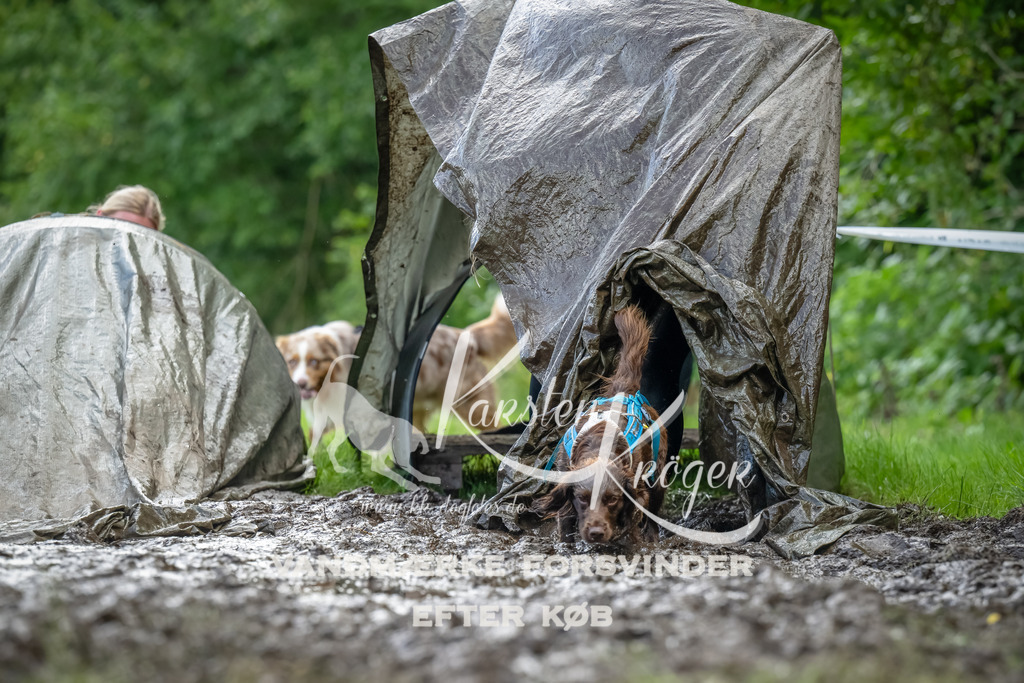 1143_ZZ94053-Bearbeitet | kk-dogfotos