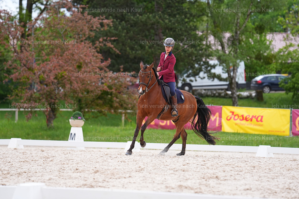 PI26_DR_278_StoibphotographySIN07962.jpg | working equitationturnier fotograf videograf stoibphotography marixx film working equitation deutschland reitsport turnierfotografie eventfotografie equestrian events