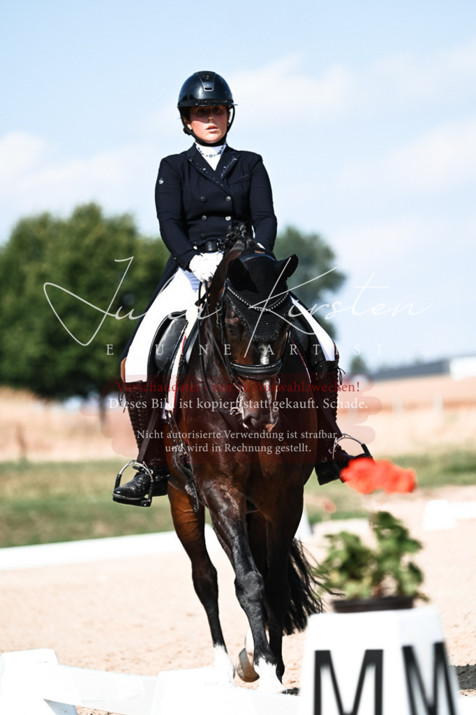 DSC_3363 | Pferde- und Turnierfotografie in Westsachsen. Pferdeportraits, Auftragszeichnungen und intuitive Kunst.