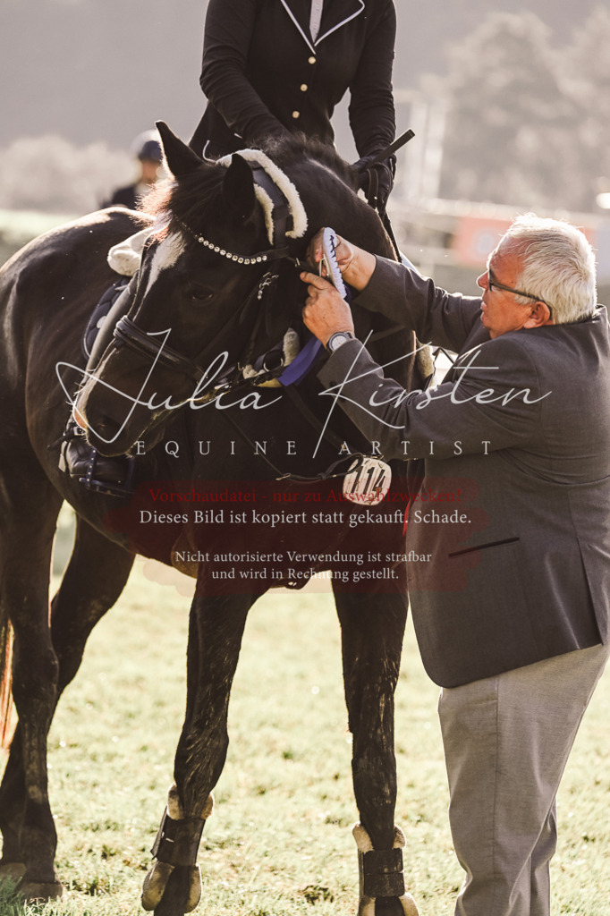 DSC_4559 | Pferde- und Turnierfotografie in Westsachsen. Pferdeportraits, Auftragszeichnungen und intuitive Kunst.