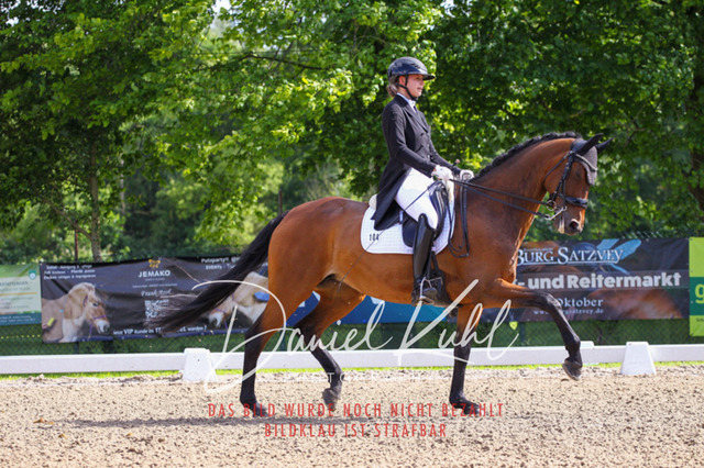 DKP41390 | Deine Turnierfotos vom Reitturnier online kaufen: Dressur, Springen & Siegerehrung. Professionelle Pferdefotografie aus dem Rheinland – als Download & Print.Alternative: Turnierfotograf für den Pferdesport: Finde deine Fotos von Dressur- und Springturnier