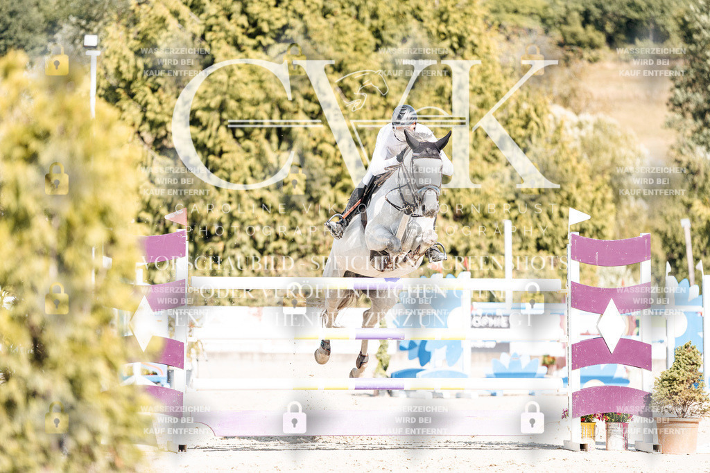CK909150 | Turnierfotografie Pferdefotografie Trier Rheinland-Pfalz Pferdesport Reitsport Tierfotografie Sportfotografie Pferdevideo Pferdevideografie Equestrianvideography equestrianphotography  - Realisiert mit Pictrs.com