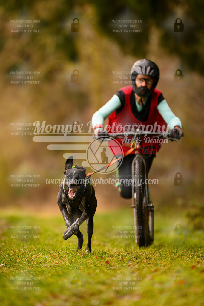 MompixPhotography_2SSTSSBW_2025_SO_Scooter-10 | PayLife