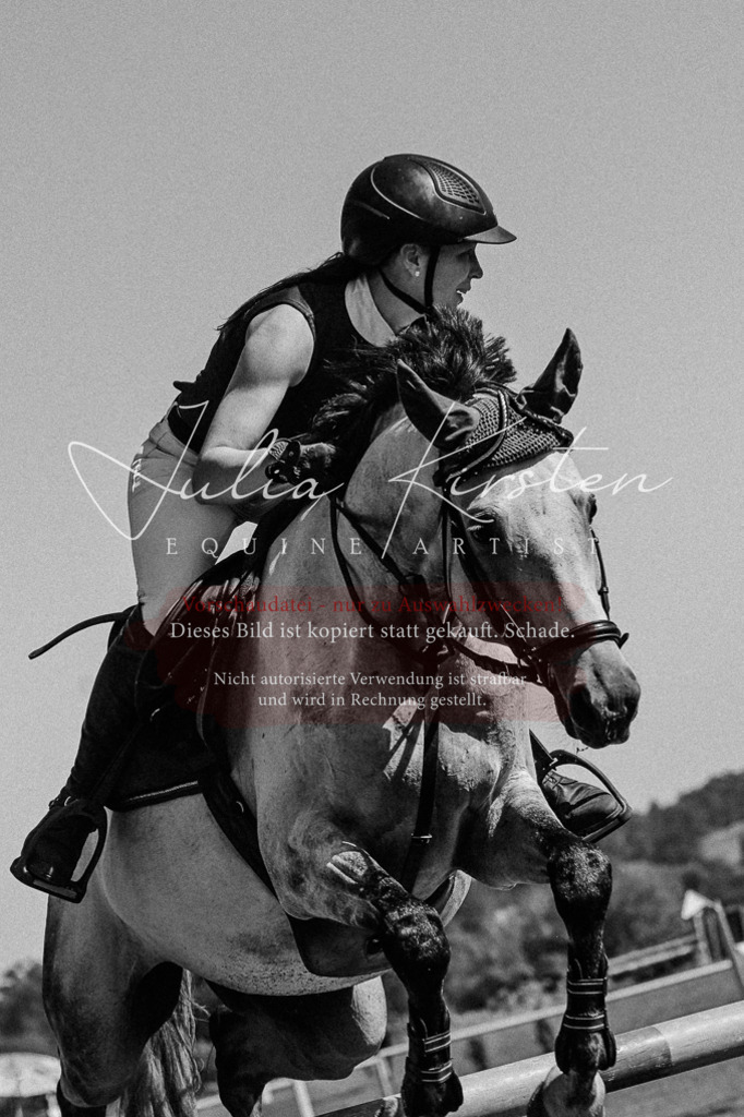 DSC_6349 | Pferde- und Turnierfotografie in Westsachsen. Pferdeportraits, Auftragszeichnungen und intuitive Kunst.