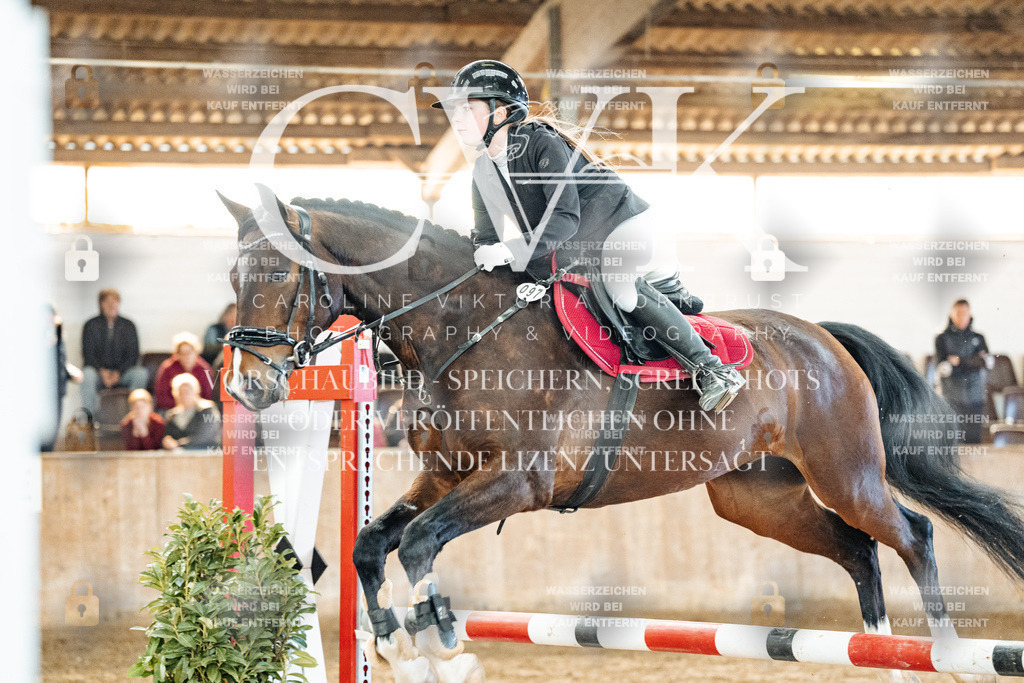 CK904537 | Turnierfotografie Pferdefotografie Trier Rheinland-Pfalz Pferdesport Reitsport Tierfotografie Sportfotografie Pferdevideo Pferdevideografie Equestrianvideography equestrianphotography  - Realisiert mit Pictrs.com