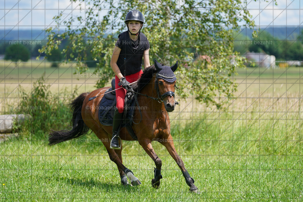 20240622-FAH07268 | Turnierfotografen Bayern, Reitsportbilder aus dem Geländekurs mit Felix Etzel auf dem Gut Waitzacker 2024