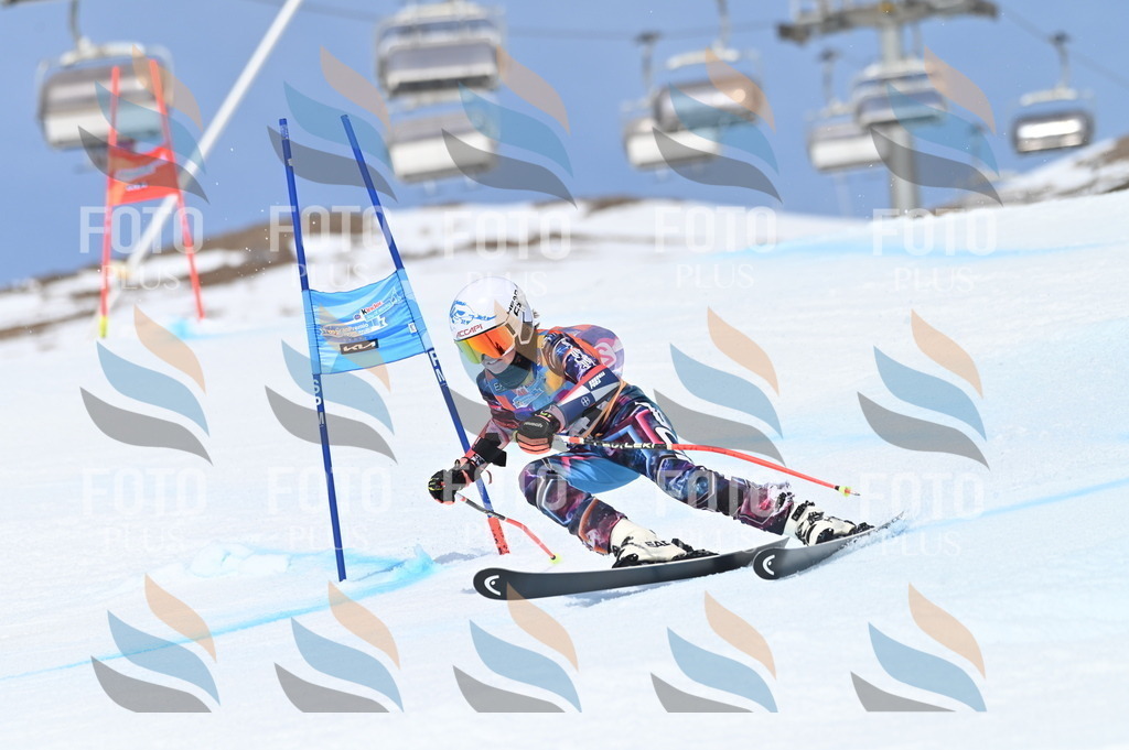 BGV_2761 | holidayphoto