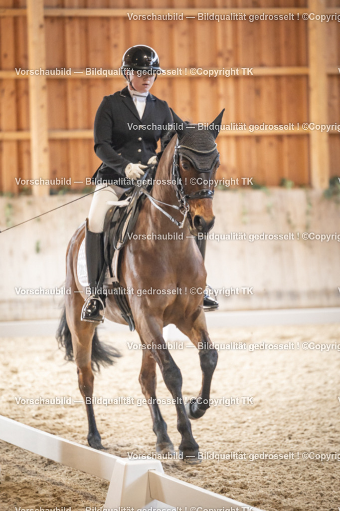 _D5A8920 | Emotionale Pferde- & People-Fotografie rund um Heidelberg, Leimen & Umgebung. Natürliche Fotos von Pferd, Mensch & Familie. Jetzt Termin sichern!