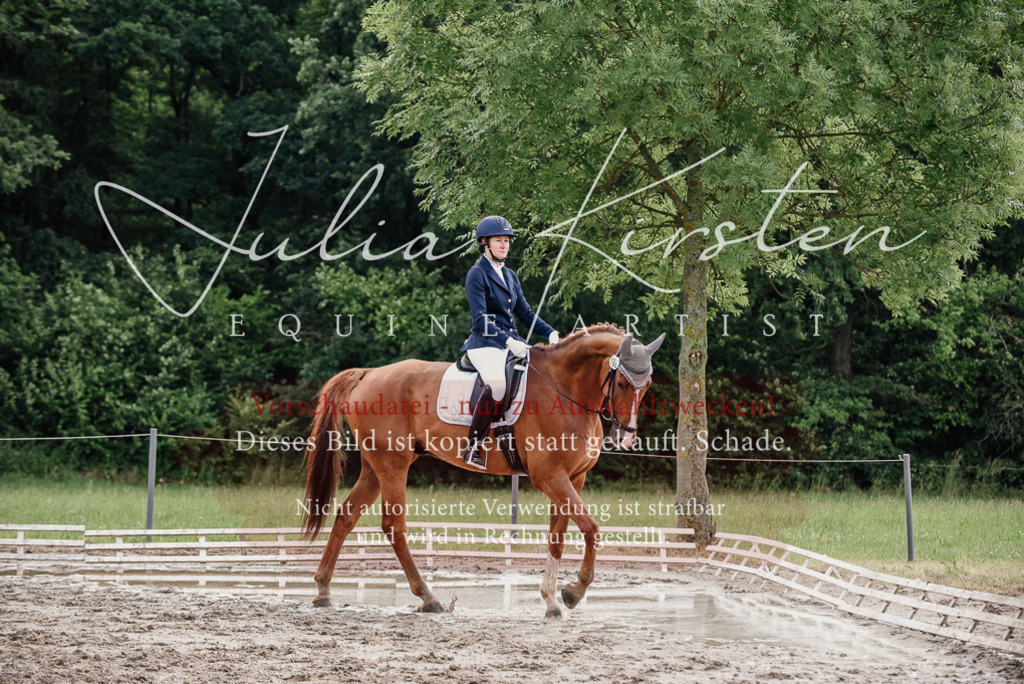 DSC_9917 | Pferde- und Turnierfotografie in Westsachsen. Pferdeportraits, Auftragszeichnungen und intuitive Kunst.