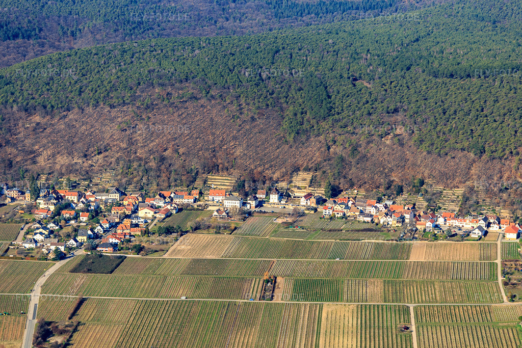 Luftbild: Mandelring im Ortsteil Haardt in Neustadt im Bundesland Rheinland-Pfalz in Deutschland. Foto: IMG_112765.jpg vom 27.02.2019 durch Werner Riehm/FLY-FOTO.de