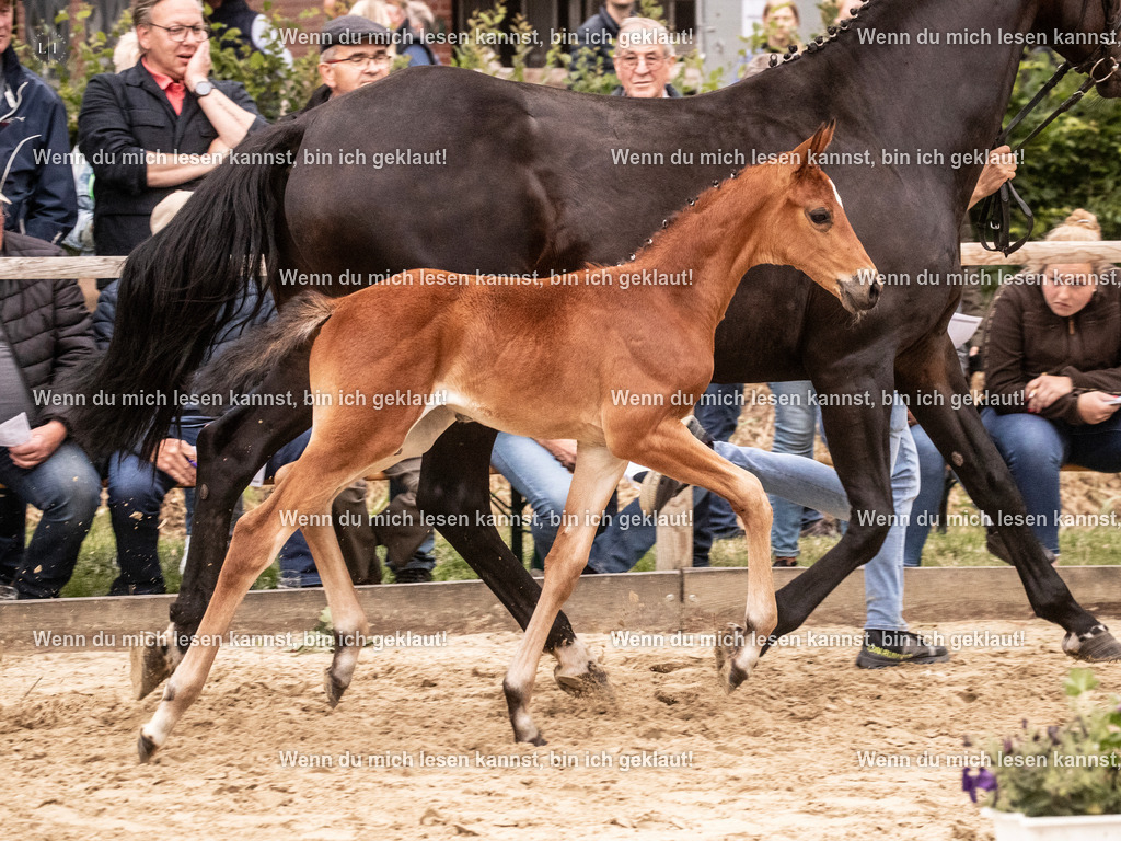 A10I5211 | photographylinaismer - Realisiert mit Pictrs.com