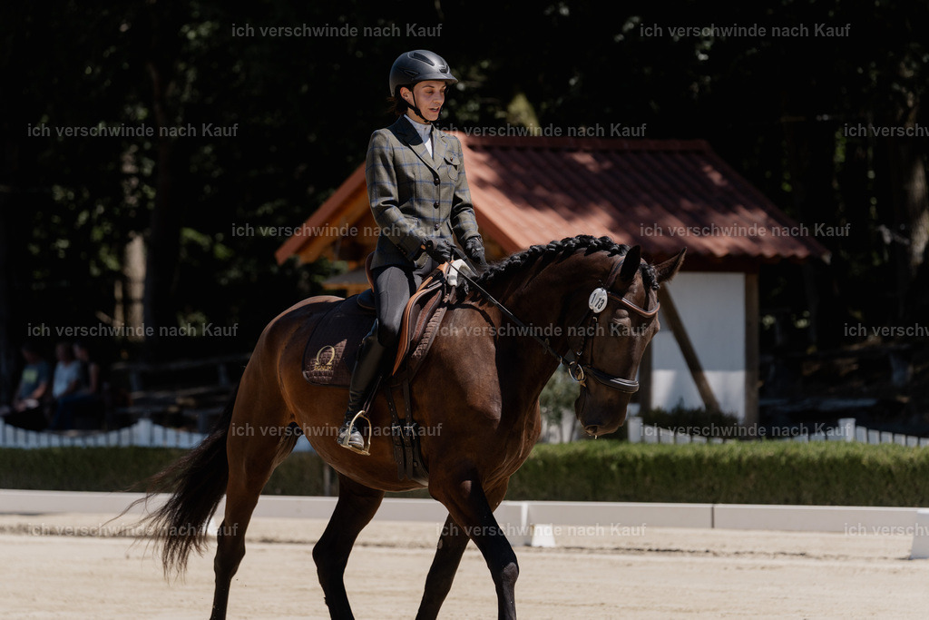 WE_DR_113_SinaFilmArt_IN02851 | working equitationturnier fotograf videograf stoibphotography marixx film working equitation deutschland reitsport turnierfotografie eventfotografie equestrian events