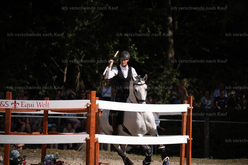 WS_SP_11_Stoibphotography_SO11584 | working equitationturnier fotograf videograf stoibphotography marixx film working equitation deutschland reitsport turnierfotografie eventfotografie equestrian events