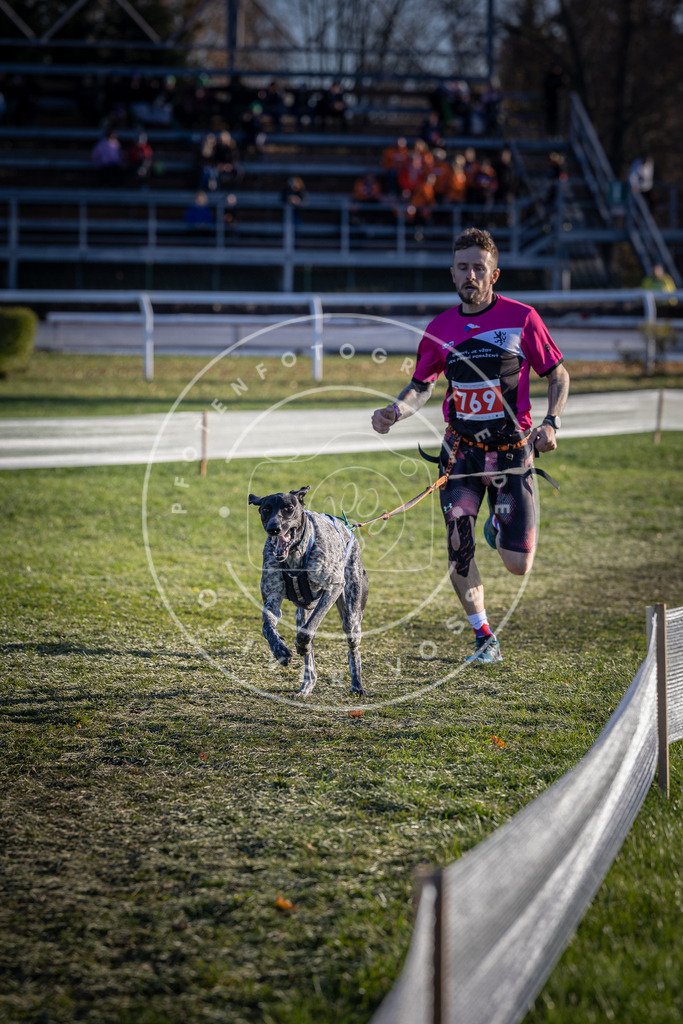 CaniXpix_DV3A2650 | Hundefotografie, Tierfotograf, Pfotenfotografie, Fotoshooting Hund, Hunde Portrait, Hundesport, Hundeportraits, Heideshooting, Hunde, Sportfotograf, Hundefotograf, Turnierhundsport, THS,  - Realisiert mit Pictrs.com
