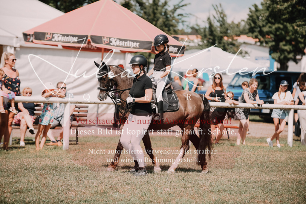 DSC_6092 | Pferde- und Turnierfotografie in Westsachsen. Pferdeportraits, Auftragszeichnungen und intuitive Kunst.