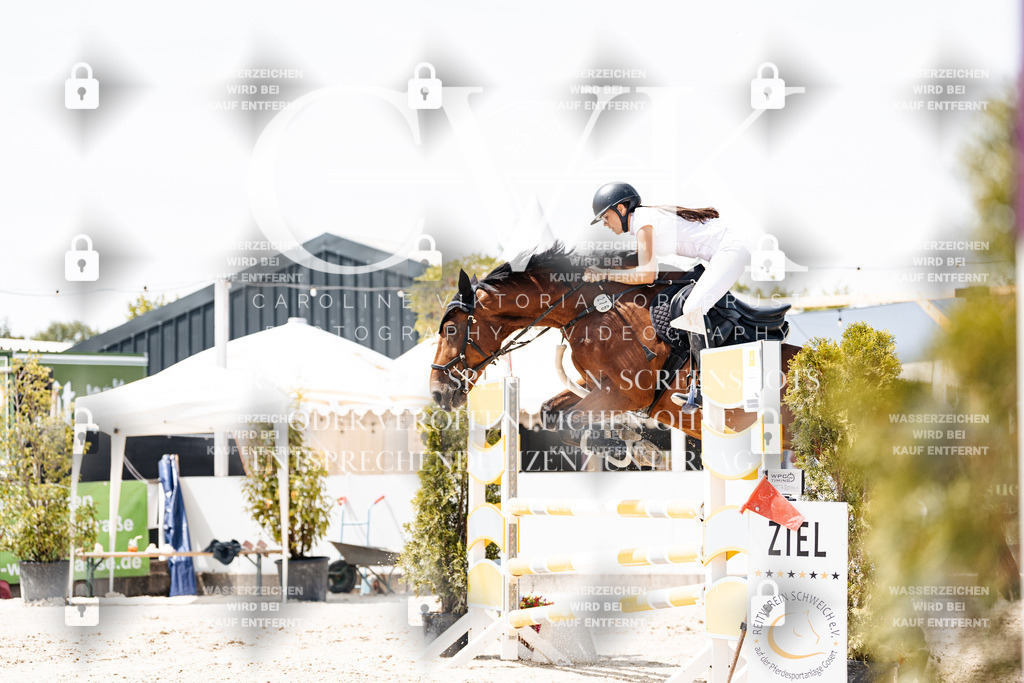 CK907966 | Turnierfotografie Pferdefotografie Trier Rheinland-Pfalz Pferdesport Reitsport Tierfotografie Sportfotografie Pferdevideo Pferdevideografie Equestrianvideography equestrianphotography  - Realisiert mit Pictrs.com